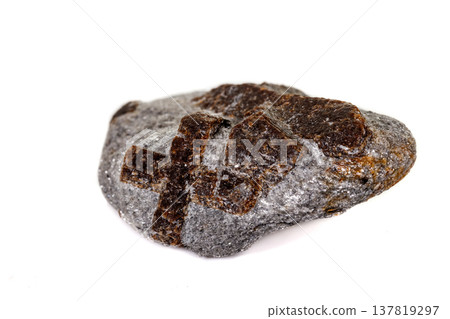 macro mineral stone Staurolite on a white background 137819297