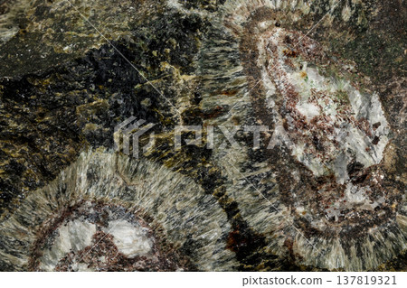 Macro Diopside mineral stone on black background 137819321