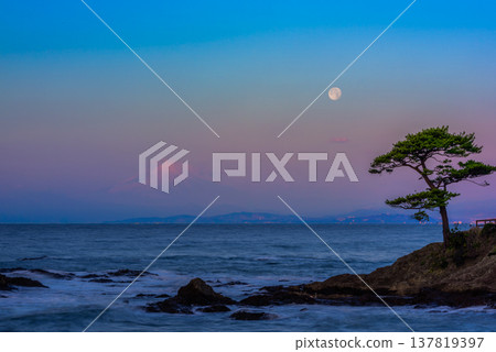 [Good Luck Charm] The breathtaking scenery of Mount Fuji at dawn and the setting full moon, woven together by the pine trees and rocky mountains of Tateishi Coast. 137819397