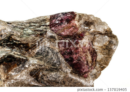 Macro stone Garnet mineral in rock on a white background Macro stone Garnet mineral in rock on a white background 137819405
