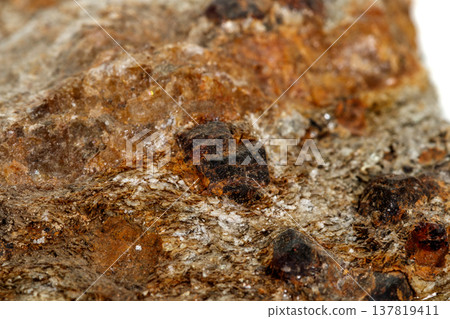 Macro stone Garnet mineral in rock on a white background Macro stone Garnet mineral in rock on a white background 137819411