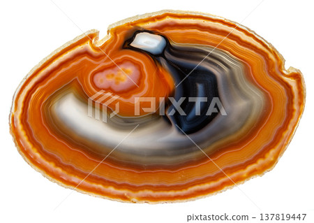 Macro stone Agate mineral on white background Macro stone Agate mineral on white background 137819447