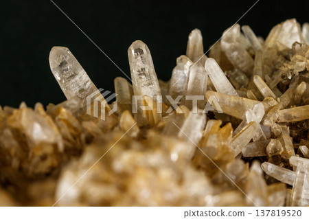 Macro mineral quartz stone with Limonite and Lepidolite black background 137819520