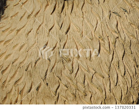 A fragment of the uneven surface of a hard object made of a hardened material with a curved and rough structure, painted light brown; part of a sculpture or figure of an animal with artificial fur 137820331