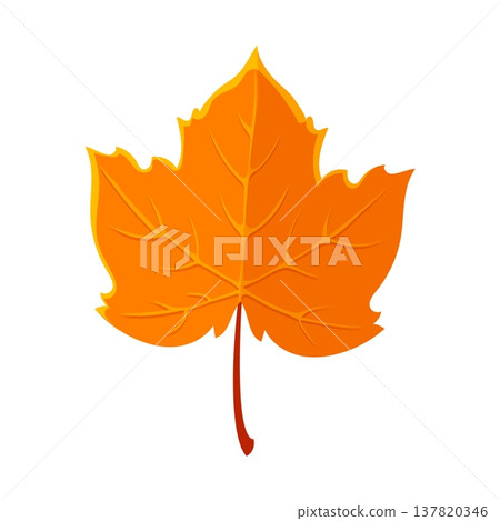 Thanksgiving day marple orange leaf cartoon september object. Thanksgiving october celebration, autumn holiday isolated vector decoration. Fall season marple tree yellow color leaf Thanksgiving day marple orange leaf cartoon september object. Thanksgiving october celebration, autumn holiday isolated vector decoration. Fall season marple tree yellow color leaf 137820346