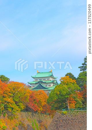愛知縣名古屋市名古屋城的秋景 137820499