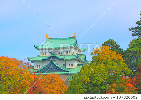 愛知縣名古屋市名古屋城的秋景 愛知縣名古屋市名古屋城的秋景 137820502