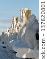 Winter ice forms on wooden posts by the shore during a cold morning 137820801