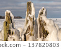 Frozen wooden posts on the shore with ice and snow during winter season 137820803
