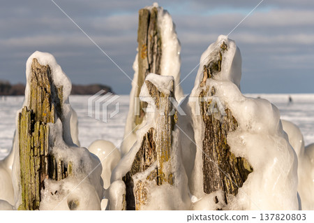 Frozen wooden posts on the shore with ice and snow during winter season 137820803