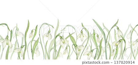 White snowdrops seamless horizontal banner watercolor illustration on isolated background. Early spring bell shaped flowers pattern for kitchen textile, websites, organic skincare packaging White snowdrops seamless horizontal banner watercolor illustration on isolated background. Early spring bell shaped flowers pattern for kitchen textile, websites, organic skincare packaging 137820914