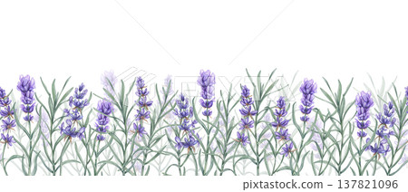 Watercolor Lavender horizontal seamless banner on isolated background. Aromatic purple flowers with green leaves repeating pattern. Floral illustration for kitchen textile, Provence posters Watercolor Lavender horizontal seamless banner on isolated background. Aromatic purple flowers with green leaves repeating pattern. Floral illustration for kitchen textile, Provence posters 137821096