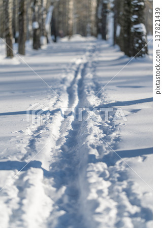 Sunlit forest ski corridor leading forward, long perspective between trunks, forest guide or mindful hiker path to clarity, optimistic winter escape composition 137821439