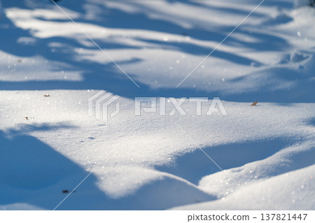 Winter frost scene. Calm snowy landscape with frost. Serene cold environment featuring icy textures. Peaceful winter scene with shimmering frost and quiet snowfall Winter frost scene. Calm snowy landscape with frost. Serene cold environment featuring icy textures. Peaceful winter scene with shimmering frost and quiet snowfall 137821447
