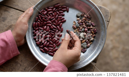 Hands sorting red kidney beans and stones in metal bowl during food preparation process 137821481