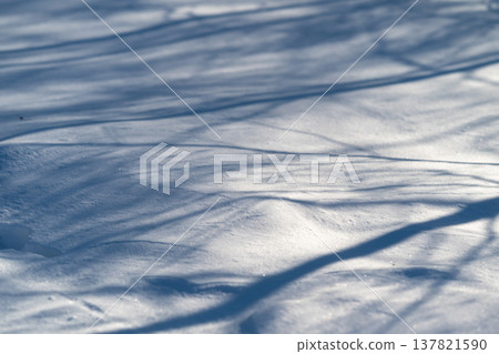Winter shadow scene. Frozen forest clearing with stark shadows and shimmering ice. Serene winter landscape featuring elongated silhouettes and high contrast lighting Winter shadow scene. Frozen forest clearing with stark shadows and shimmering ice. Serene winter landscape featuring elongated silhouettes and high contrast lighting 137821590