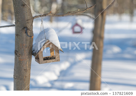 Serene rural winter morning scene. Quiet countryside winter scene featuring birdhouse and snow. Peaceful rural winter morning with snowcovered birdhouse and soft sunlight Serene rural winter morning scene. Quiet countryside winter scene featuring birdhouse and snow. Peaceful rural winter morning with snowcovered birdhouse and soft sunlight 137821609