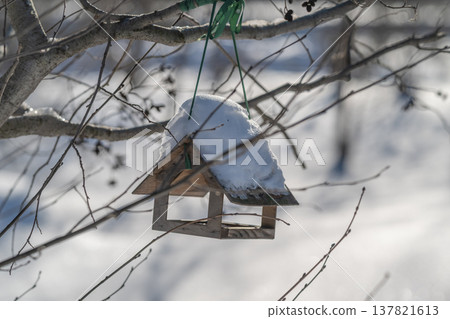 Snowtopped wooden feeder hanging on branch, delicate twigs framing rustic roof, soft bokeh background of bright snow, invitation for small birds, tactile texture of weathered wood 137821613
