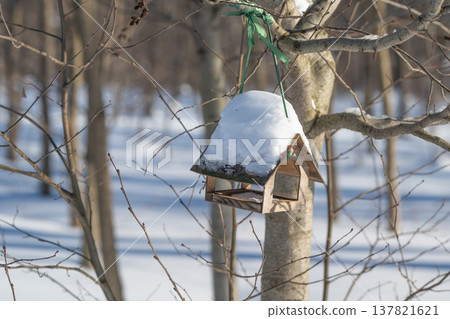 Cozy snowy nature setting observed. Calm winter landscape captured with warmth. Tranquil winter scene showcasing wooden feeder amidst snow and gentle natural surroundings Cozy snowy nature setting observed. Calm winter landscape captured with warmth. Tranquil winter scene showcasing wooden feeder amidst snow and gentle natural surroundings 137821621