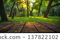 Empty table for product display montages in the park with blurred background 137822102