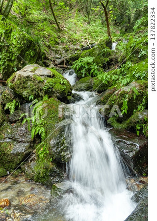 Highlights of the hiking trail to Mt. Bōnoori (Bōnomine): the clear waterfall flowing through Shiratani-zawa and the scenery of fresh greenery. 137822334