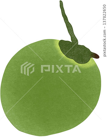 coconut organic fruit	 137822650