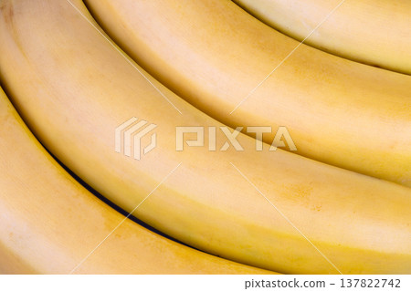 Closeup of ripe yellow bananas. Detailed image emphasizing curved banana peel with grainy surface. Intimate shot capturing warm yellow hues and textured peel of ripe bananas Closeup of ripe yellow bananas. Detailed image emphasizing curved banana peel with grainy surface. Intimate shot capturing warm yellow hues and textured peel of ripe bananas 137822742