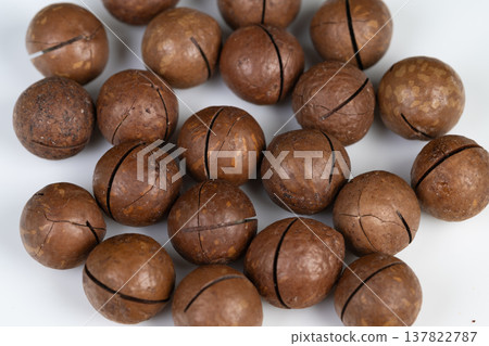 Studio shot featuring macadamia nuts with textures. Professional photography of macadamia nuts showcasing surface details and natural coloration in studio setting 137822787