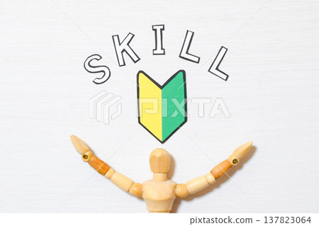 Image of SKILL 137823064