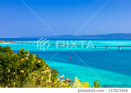View of Kouri Bridge and the Kouri Blue sea from Unten Mori Park Observatory in Unten, Nakijin Village, Kunigami District, Okinawa Prefecture 137823408