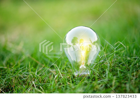 Renewable energy concept Earth Day or environment protection Hands protect forests that grow on the ground and help save the world. Renewable energy concept Earth Day or environment protection Hands protect forests that grow on the ground and help save the world. 137823433