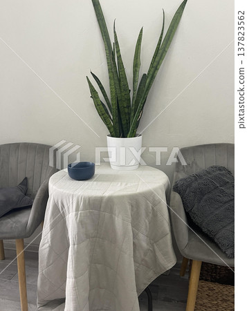 cute furnishings near thewhite wall cute furnishings near thewhite wall 137823562