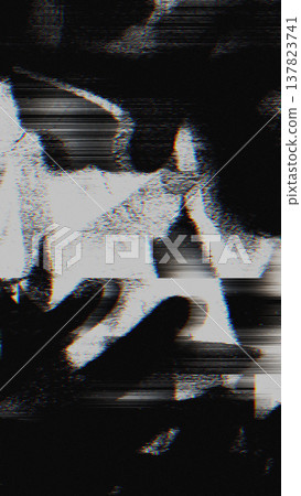 Black and White Glitch Overlay with Scanlines and Distortion Black and White Glitch Overlay with Scanlines and Distortion 137823741