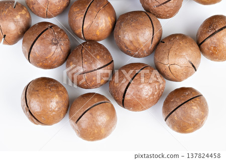 Uncooked macadamia nut shells arranged on white surface for culinary display. Visual presentation of raw macadamia shells arranged on white background for baking and pastry ideas Uncooked macadamia nut shells arranged on white surface for culinary display. Visual presentation of raw macadamia shells arranged on white background for baking and pastry ideas 137824458