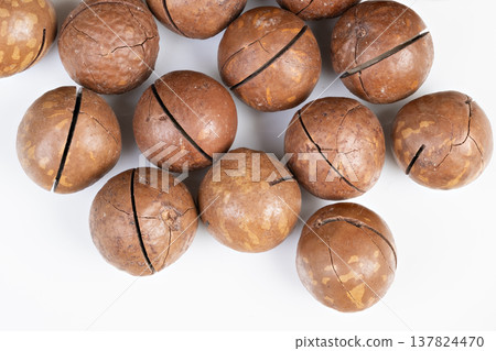 Macadamia nuts display. Fresh macadamia nuts with textured shells and cracked seams. Detailed image of inshell macadamia nuts showcasing rugged shells and cracked seams 137824470