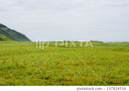 A picturesque scene depicting green hills along the Kuril Islands' coastline on a bright summer day. 137824516