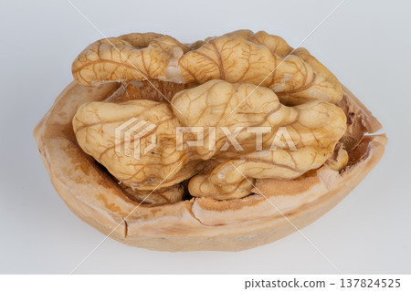 Clever nut shell featuring cognitive design and textured surface details. Intelligent shell on nut exhibiting cognitive features and textured exterior inspired by memory and nature 137824525
