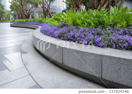 beautiful purple flowers in a garden 137824546