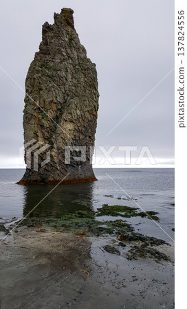 A solitary sea stack graces the Pacific coastline of the Kuril Islands, adorned with vibrant algae and contrasting black volcanic sand. A solitary sea stack graces the Pacific coastline of the Kuril Islands, adorned with vibrant algae and contrasting black volcanic sand. 137824556