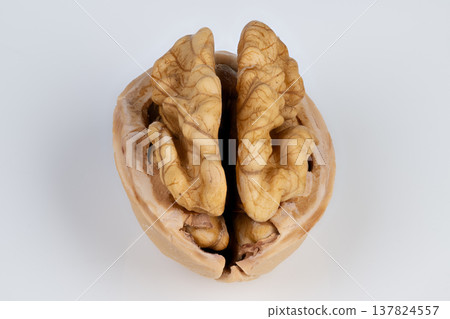 Walnut kernel closeup reveals brainlike ridges, studiolit on white background, highdetail texture and natural brown tones, ideal for health and concept visuals Walnut kernel closeup reveals brainlike ridges, studiolit on white background, highdetail texture and natural brown tones, ideal for health and concept visuals 137824557