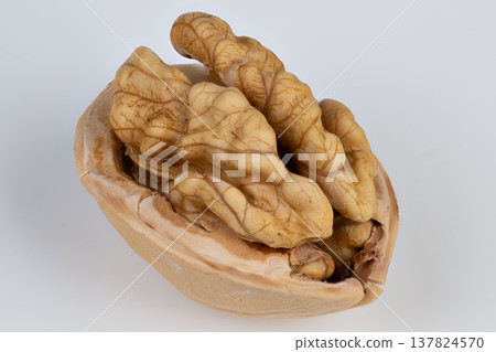 Harvest time sensations captured through textured walnut and warm colors. Autumnal representations of nuts and seasonal warmth inspire cozy kitchen moments and baking scenes Harvest time sensations captured through textured walnut and warm colors. Autumnal representations of nuts and seasonal warmth inspire cozy kitchen moments and baking scenes 137824570