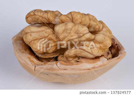 Classic styled still life of walnut shell. Retroinspired composition featuring half walnut with nostalgic lighting effects and fine grain texture for editorial purposes 137824577