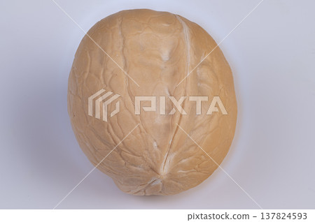 Closeup of textured walnut shell. Studio lighting highlights walnut shell seam and texture. Detailed visual examination capturing seam and surface texture of walnut in shell 137824593