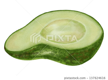 Hand drawn watercolor illustration avocado half. Green avocado fruit. Healthy eating. Perfect for stores, cafes, packaging, restaurant menus, labels and branding for fresh produce, and cosmetics. Hand drawn watercolor illustration avocado half. Green avocado fruit. Healthy eating. Perfect for stores, cafes, packaging, restaurant menus, labels and branding for fresh produce, and cosmetics. 137824616