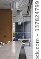 Contemporary dining space with geometric pendant lighting 137824799