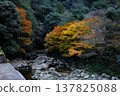 The scenery of rocky outcrops and autumn foliage in a gorge 137825088