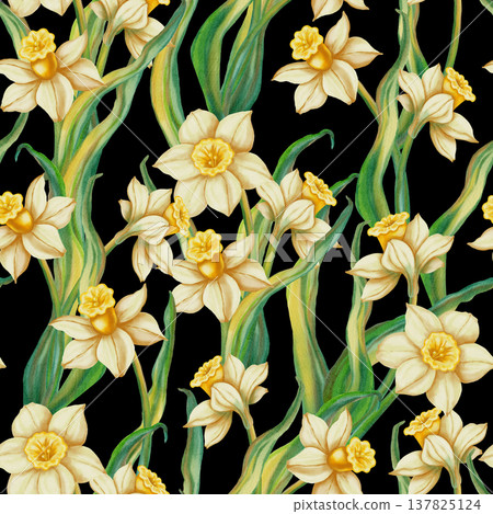 Seamless watercolor pattern with white daffodils and green leaves. Hand-drawn spring botanical illustration. Perfect for textiles, packaging, cards, and invitations. Seamless watercolor pattern with white daffodils and green leaves. Hand-drawn spring botanical illustration. Perfect for textiles, packaging, cards, and invitations. 137825124