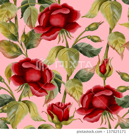 Elegant seamless pattern with hand-drawn watercolor red roses. Perfect for Valentine's Day, weddings, romantic gift wrapping, and floral textile prints. 137825171