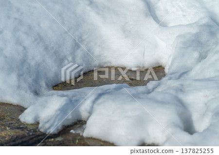 Small snow patch exposing mossy rock, soft edges of snow melting back to reveal damp stone and green moss, quiet cold mood, muted daylight, seasonal transition and stillness Small snow patch exposing mossy rock, soft edges of snow melting back to reveal damp stone and green moss, quiet cold mood, muted daylight, seasonal transition and stillness 137825255