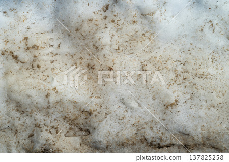 Dirty spring snow dusted with salt, closeup of coarse deicing crystals mixed with dark urban runoff, wet granular surface, cold desaturated tones, utilitarian roadside mood 137825258
